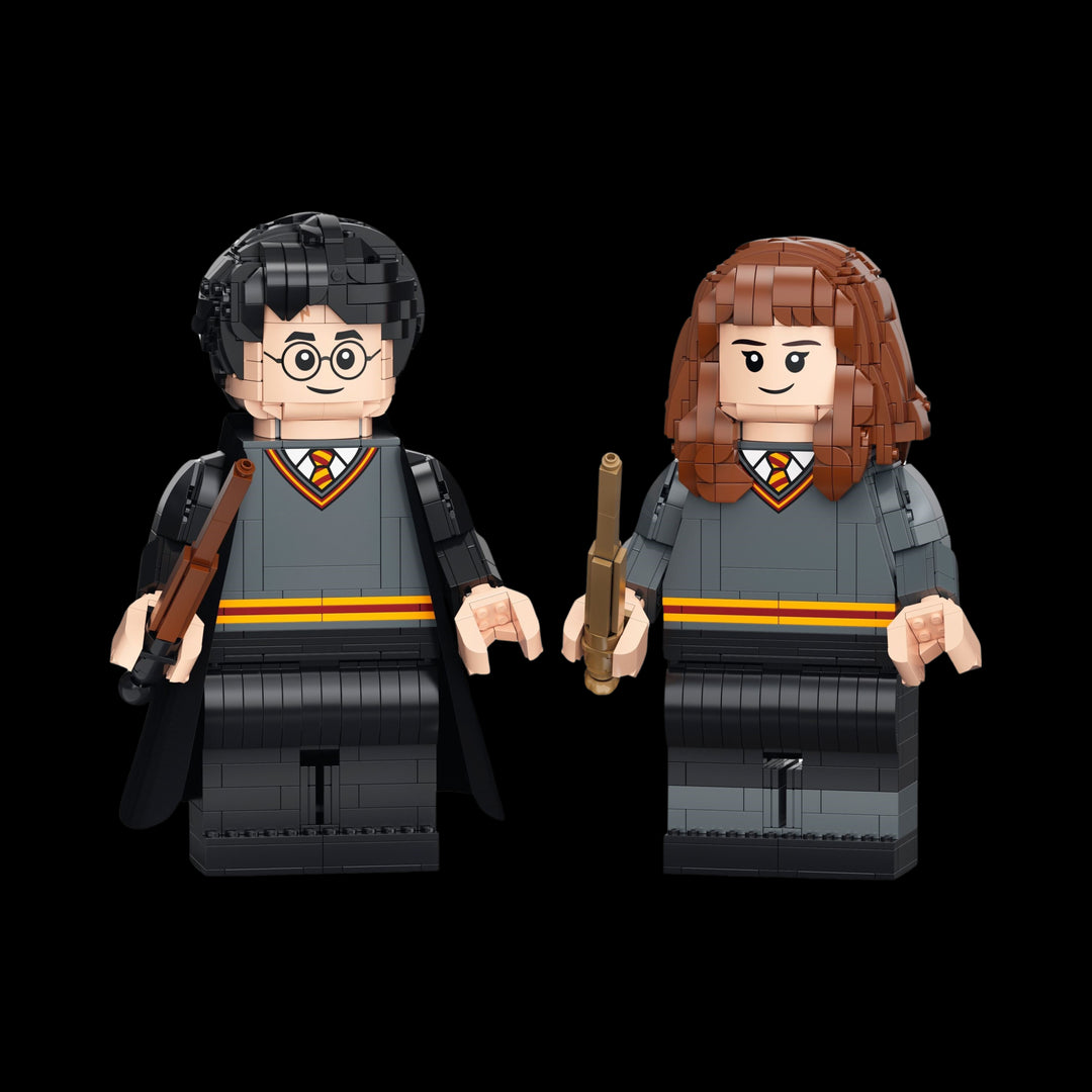 Fully assembel Harry Potter and Hermione Granger big fig 76393 