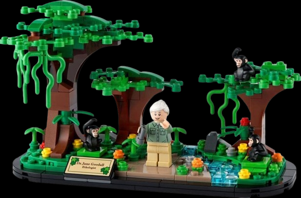 fully organize Jane Goodall Tribute 40530 with all element