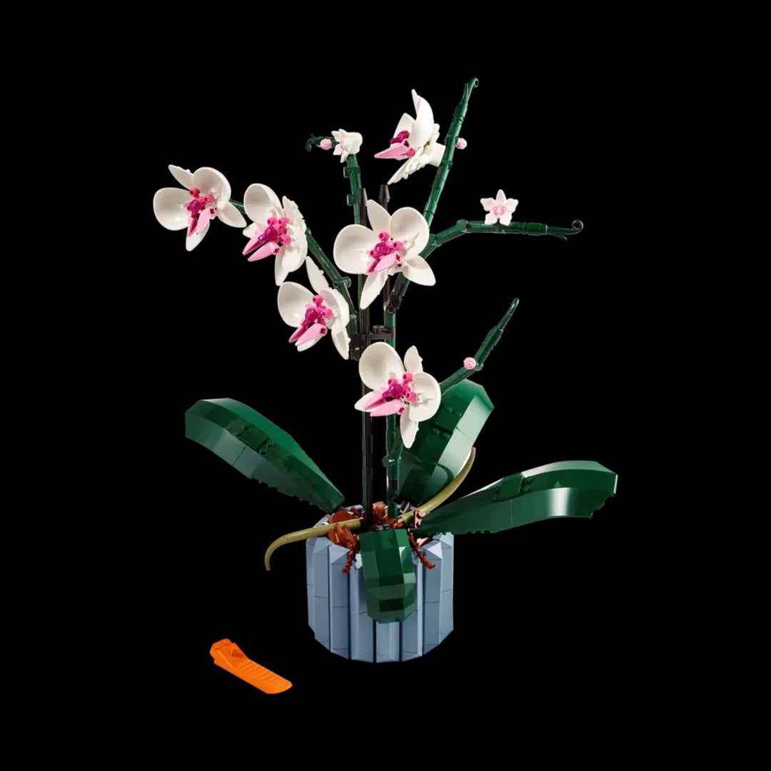 Fully oragnize Orchid 10311