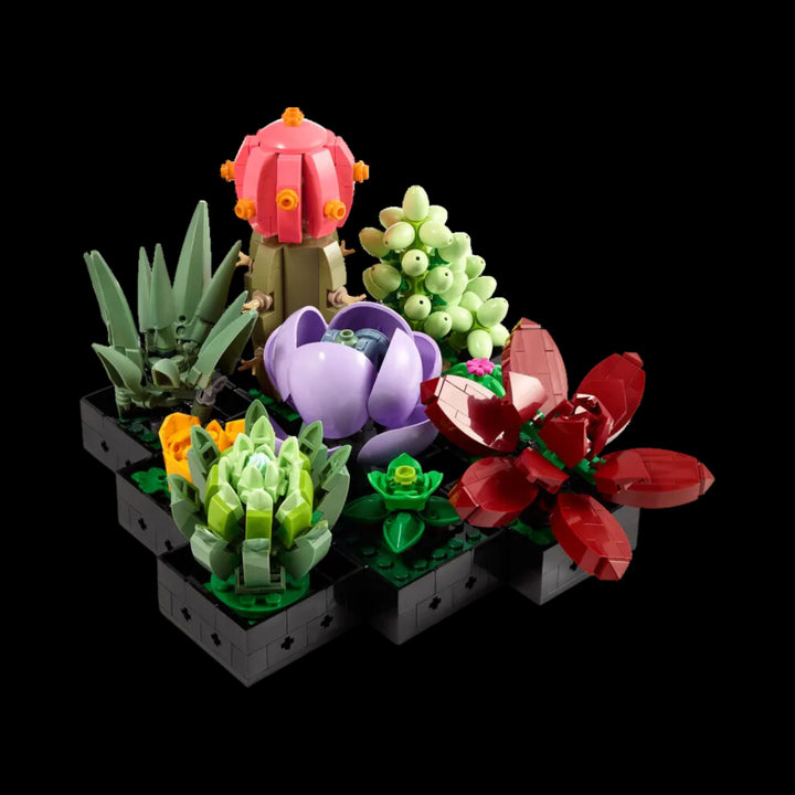 Fully organize Succulents 10309 with all elements