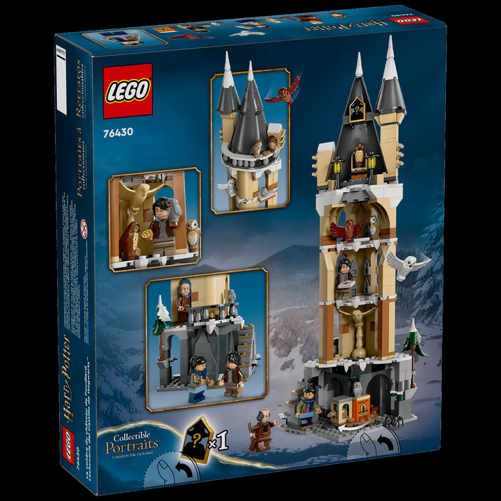LEGO Harry Potter Hogwarts Castle Owlery 76430 — back of box on black background